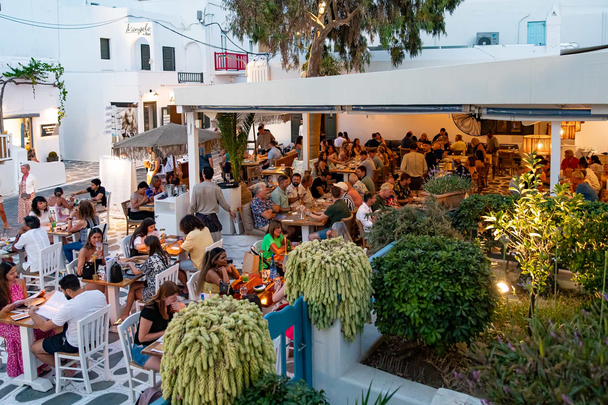 D'Angelo Mykonos 2026