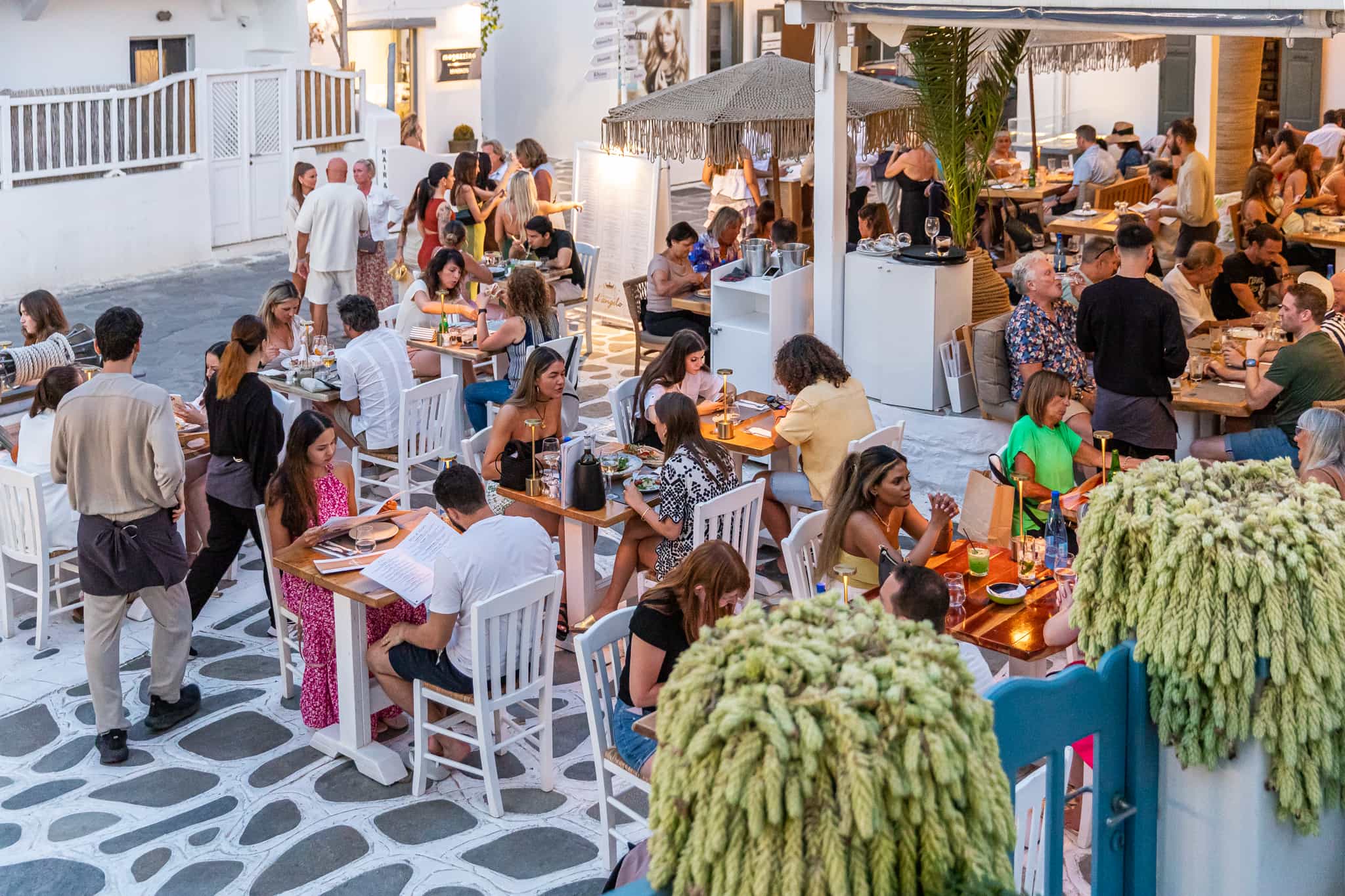 D'Angelo Mykonos 2026